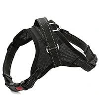 Arnes para Mascotas, EBASIX