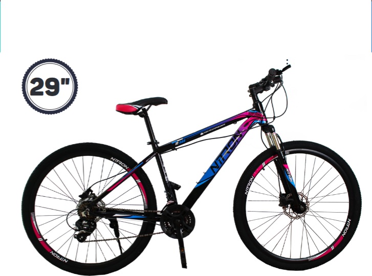 Bicicleta Nitron E1-E65